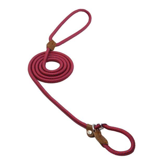 Nylon & Faux leather Collar Puppy - Dog Set