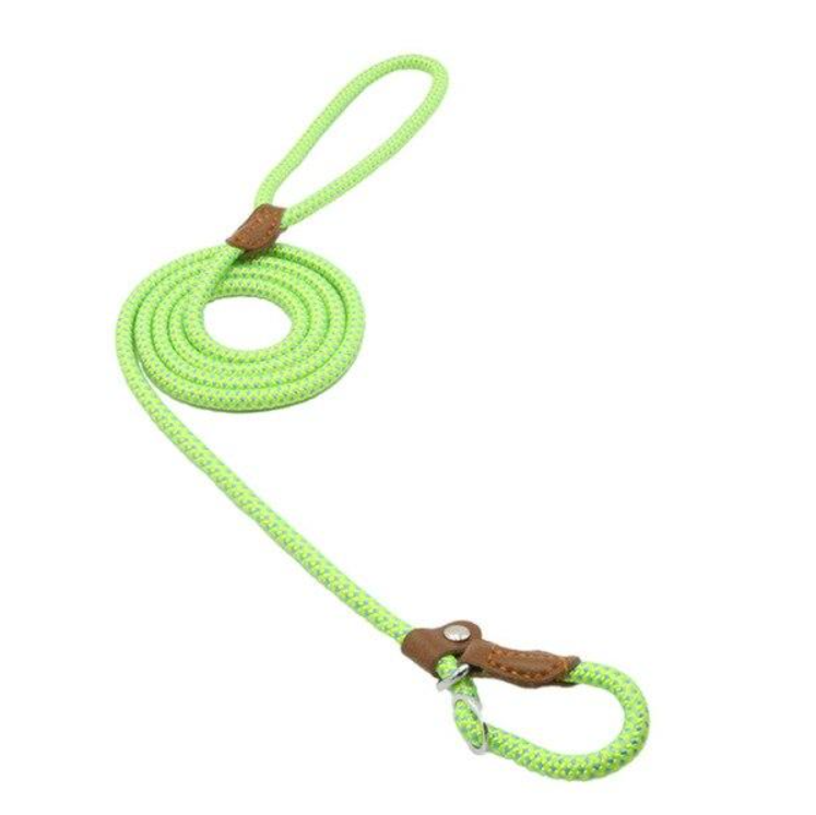 Nylon & Faux leather Collar Puppy - Dog Set