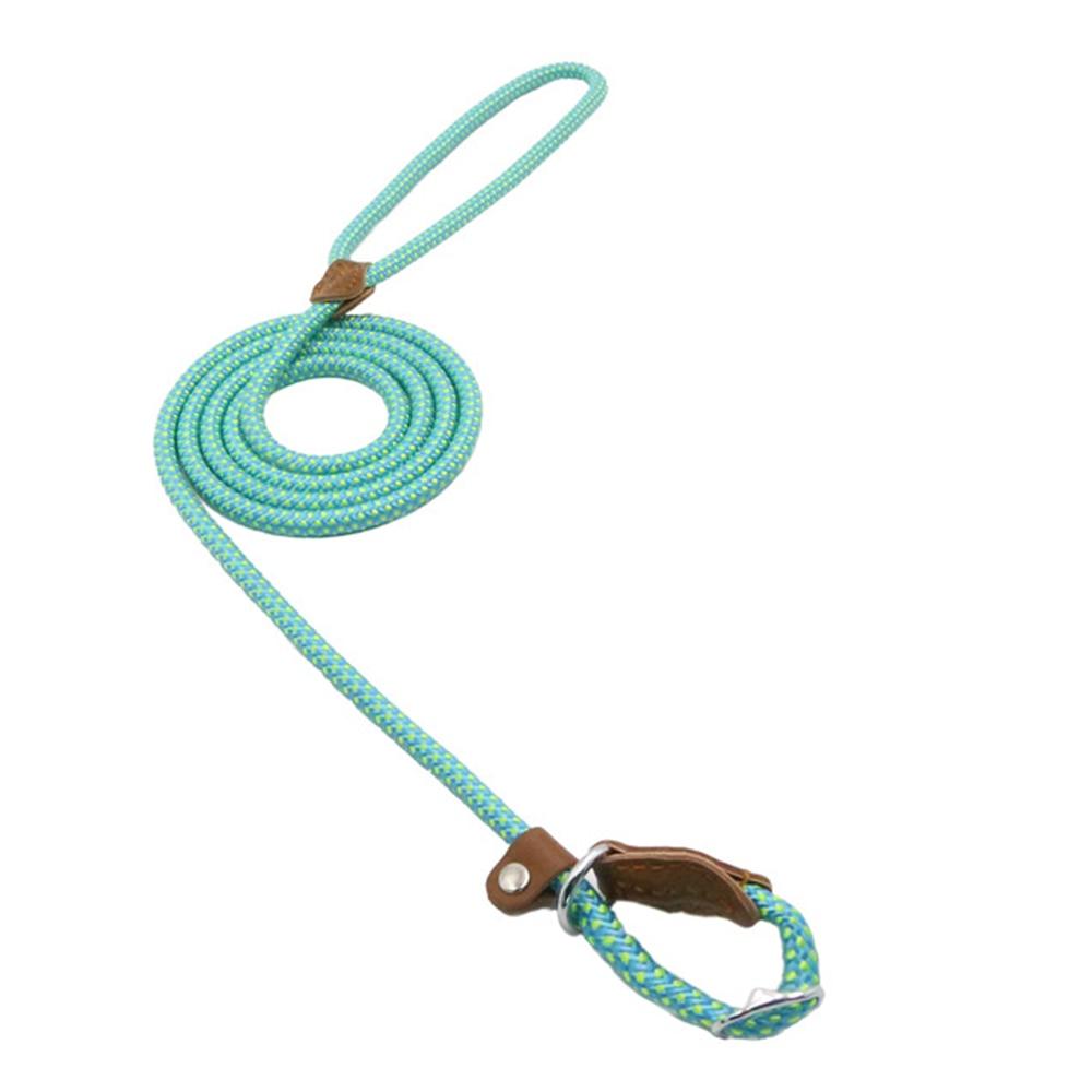 Nylon & Faux leather Collar Puppy - Dog Set