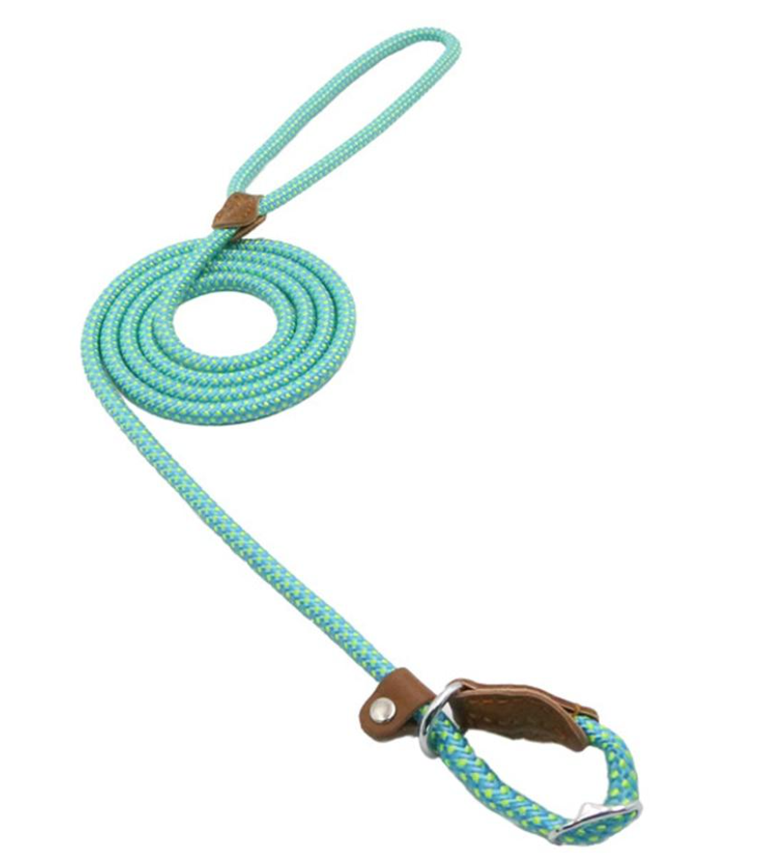 Nylon & Faux leather Collar Puppy - Dog Set
