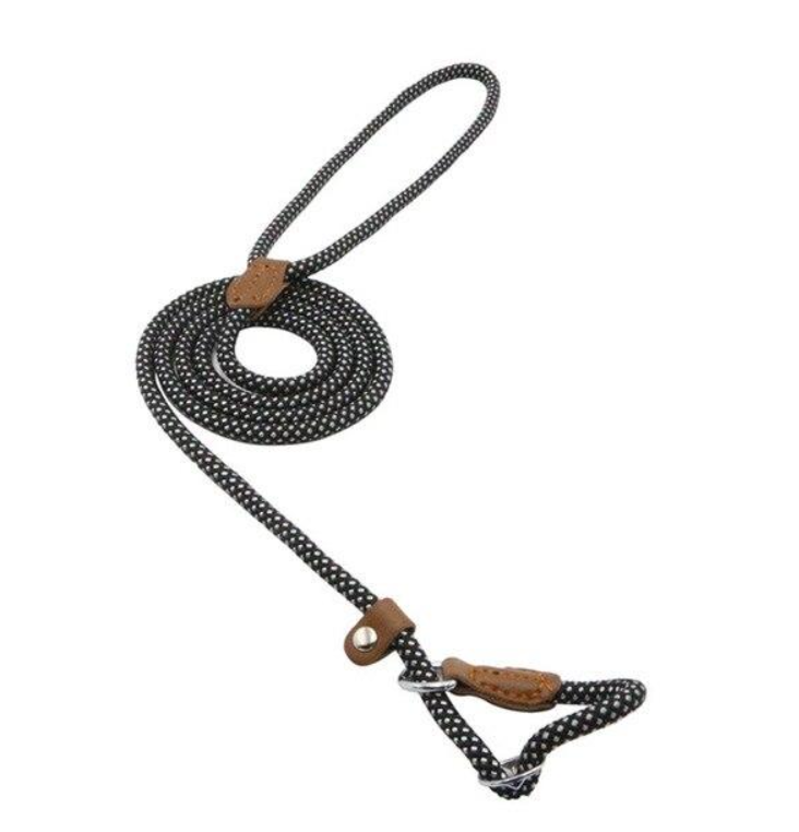 Nylon & Faux leather Collar Puppy - Dog Set