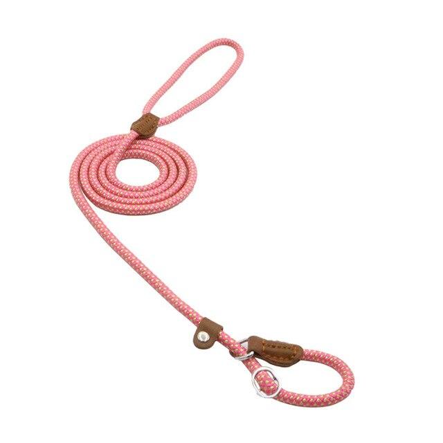 Nylon & Faux leather Collar Puppy - Dog Set