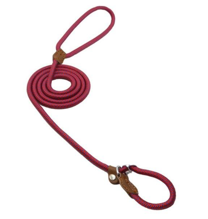 Nylon & Faux leather Collar Puppy - Dog Set