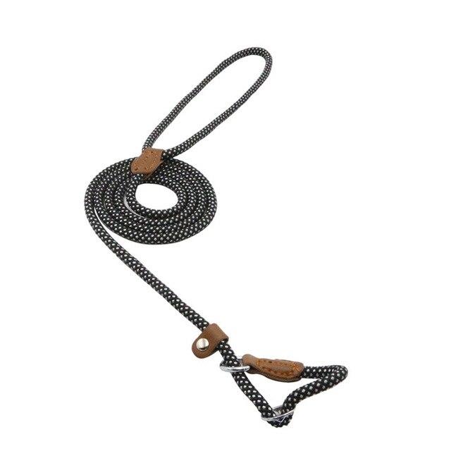 Nylon & Faux leather Collar Puppy - Dog Set