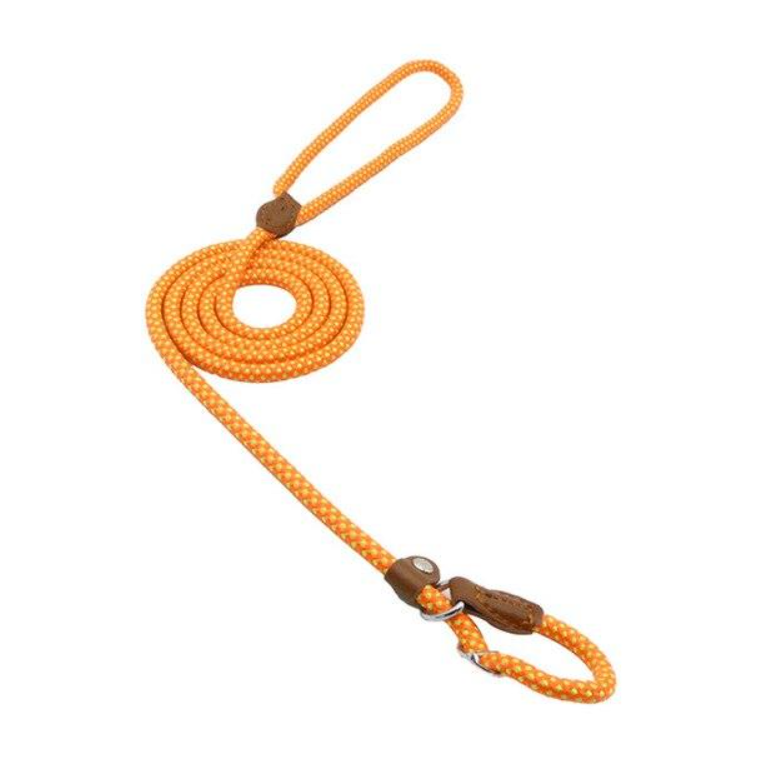 Nylon & Faux leather Collar Puppy - Dog Set