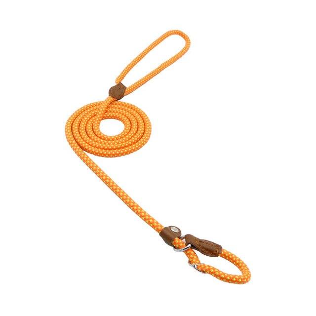 Nylon & Faux leather Collar Puppy - Dog Set