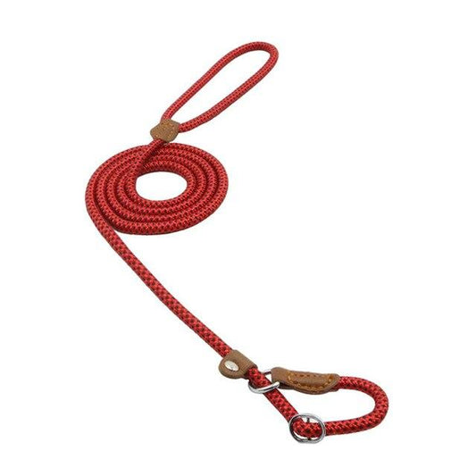 Nylon & Faux leather Collar Puppy - Dog Set