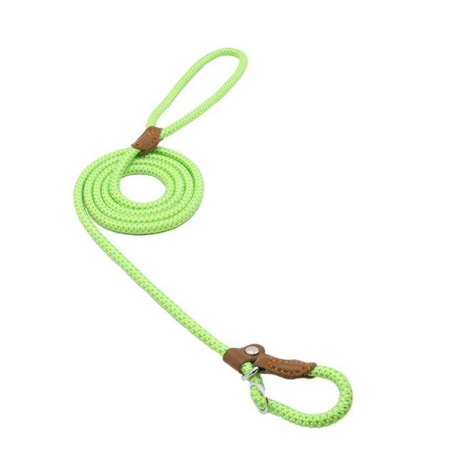 Nylon & Faux leather Collar Puppy - Dog Set